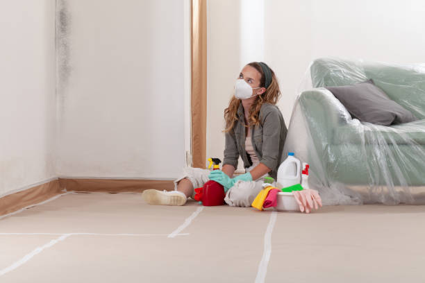 Reliable Mold Testing contractor in Grasonville, MD by WQB Mold Removal